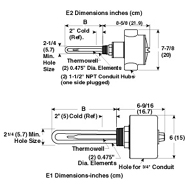 ARMTS-2 Series:Rugged Process Water Immersion Heater with 2