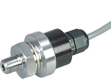 PX480A Series:  Discontinued - OEM Style Pressure Transducers SS Wetted Parts, 100 mV Bridge Output