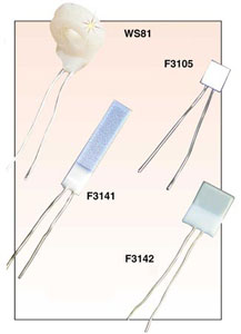 F3105, W2100, W2200, F3100, WS81:Thin Film RTD Elements